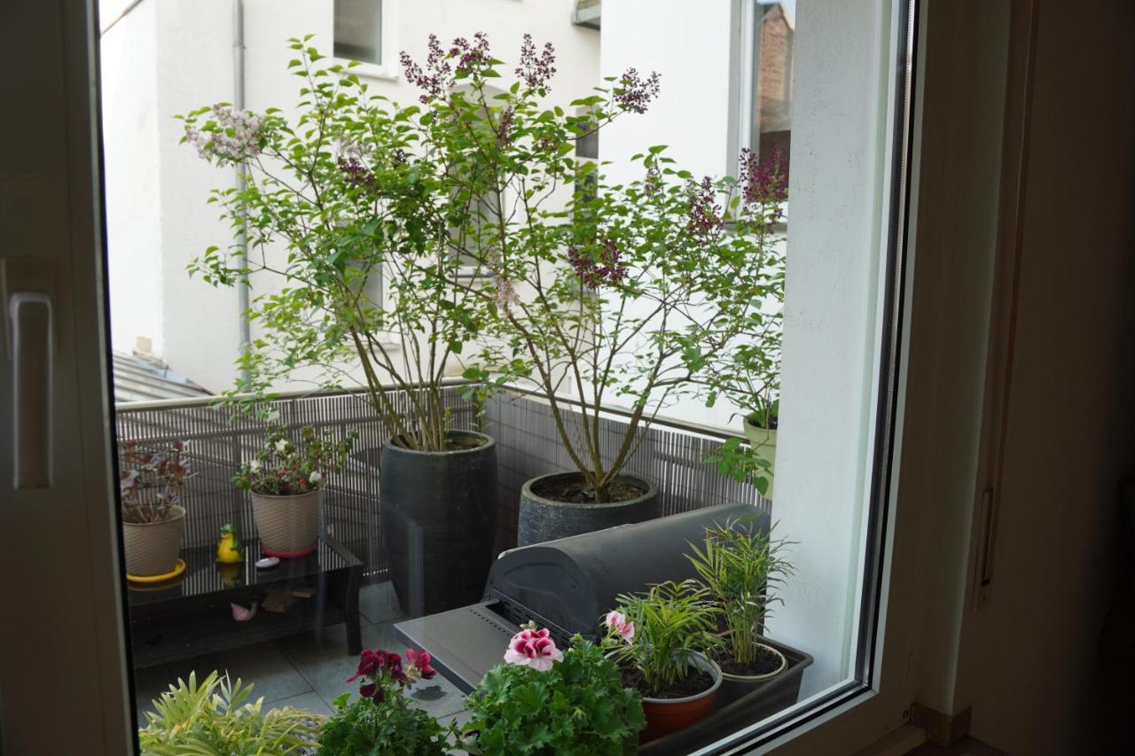 Bright, Spacious Apartment With A Lovely Terrace In The Heart Of Aachen Eksteriør billede