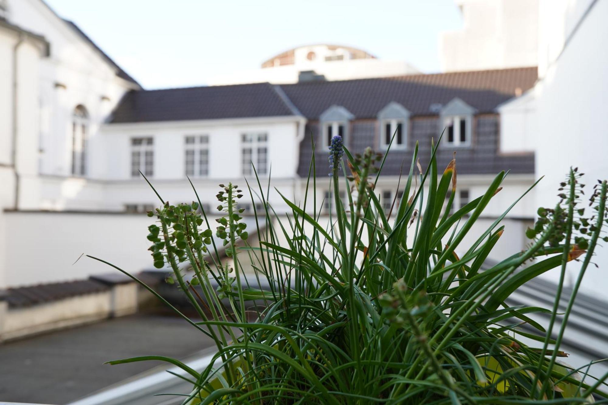 Bright, Spacious Apartment With A Lovely Terrace In The Heart Of Aachen Eksteriør billede